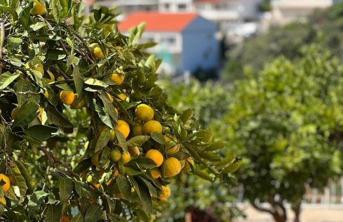 Apartments Daniela - Foto 49