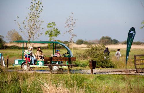 Bandeira'S house - Foto 47