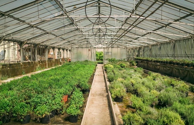 FondoBrugarolo - Foto 28