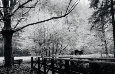 Apartment mit Blick ins Grüne - Foto 36