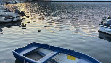 La Palamita House - Foto 2