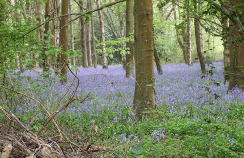 Primrose Spinney - Foto 48