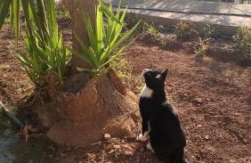 House of Polymnia - Photo 19