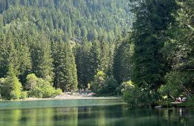 Val di Sole Apartment - Foto 32