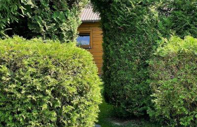 Agroturystyka "Pod Gruszą" - Foto 16