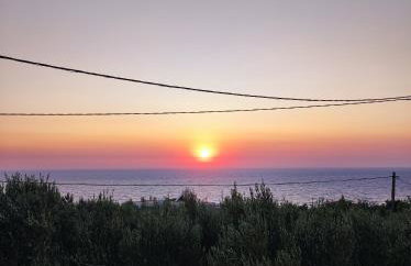 Tranquility House - Foto 28