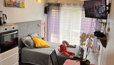 Résidence Les Alizés ''JACCUZI SAUNA PISCINE en plein centre ville" - Foto 3