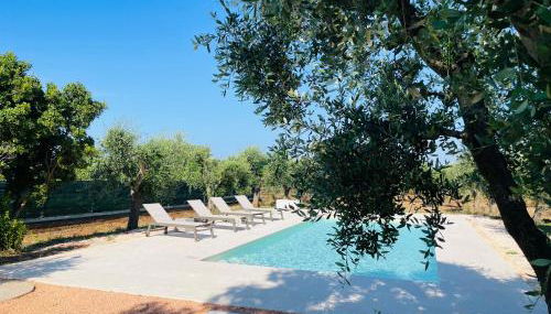 TRULLO FERNANDO - Foto 5