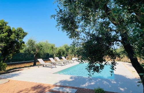 TRULLO FERNANDO - Foto 5