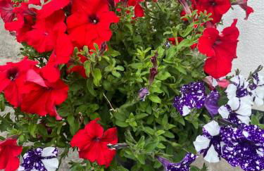 Idyllic bungalow in Burscough, ideal location in West Lancashire - Foto 21