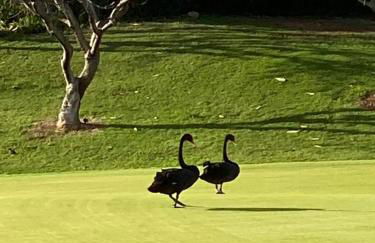 Luxurious Ocean View Beach Villa B-903 at Ko'Olina Beach Villas - Foto 48