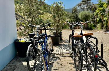 Herdade d' Amoreira Lavanda Villa - Foto 58