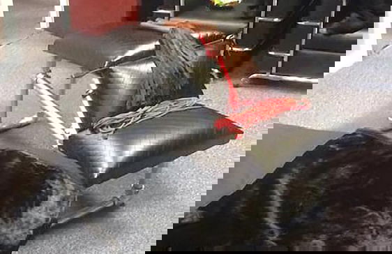 Manchester Party Pad - Foto 6