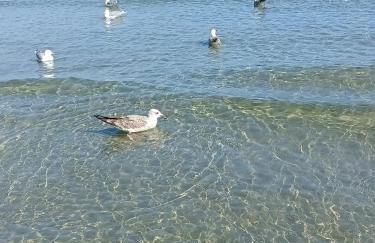 A Ca du Giaba - Foto 12