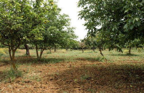 Casa Fondachello - Foto 7