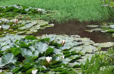 Bournemouth Beach & Sea Views - Foto 31