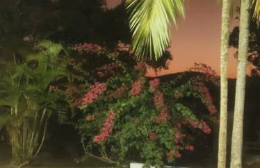 Exclusivo Haras Marilu! - Foto 12