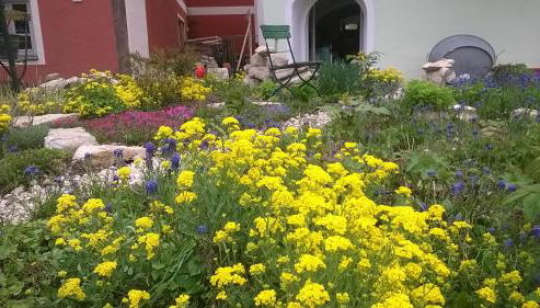 FeWo An der Bruecke - Foto 3, Garden