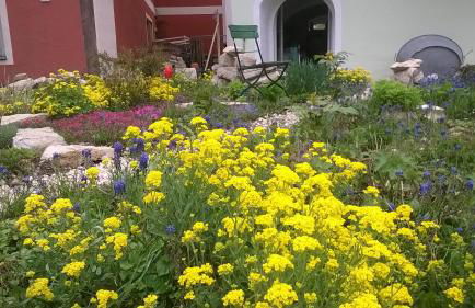 FeWo An der Bruecke - Foto 3