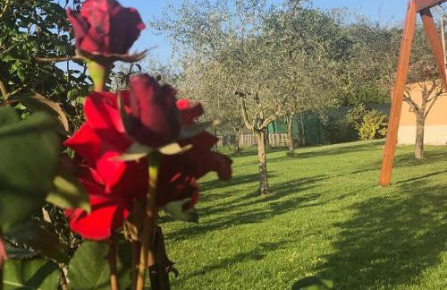 Il Poggetto 2 - Foto 12