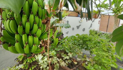 Paisaje Lunar - Foto 3