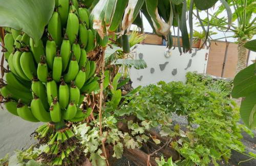 Paisaje Lunar - Photo 3