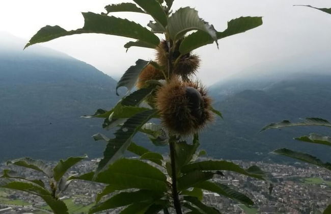 Agriturismo da Ysy - Foto 28