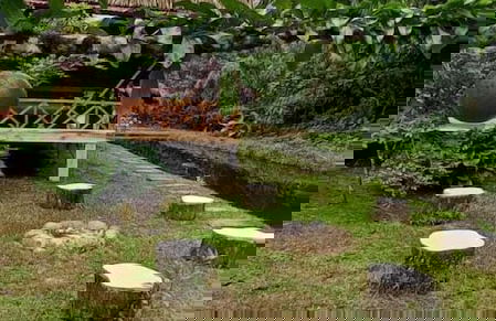 AYAWASKA ATRACTIVO SACHA WASI - Foto 18