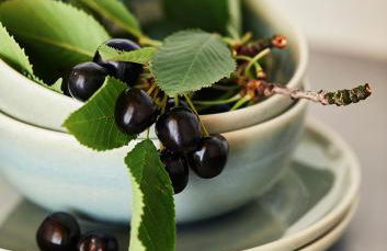 Boutique Apart & Gästehaus Le Rossignol - Foto 43