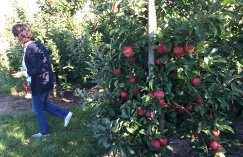 Fabys Ferienwohnung - Photo 19