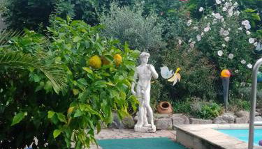 Gästehaus Brunhilde - Foto 2, Garden