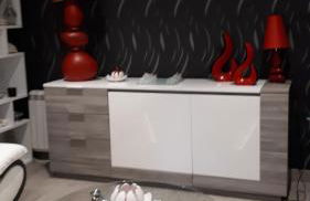 25 Rue Raymond Braillard - Foto 3