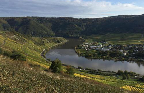 Ferienwohnung Weinbergblick - Foto 29