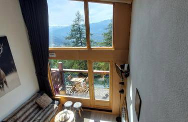 RESIDENCE LE RUITOR Duplex dernier étage vue panoramique classé 4 Cristaux Paradiski Piscine privée chauffée en ETE - Foto 77