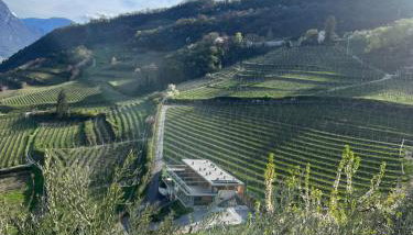 Agritur Gasadòr - Foto 4