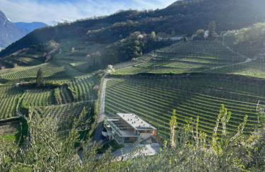 Agritur Gasadòr - Foto 9