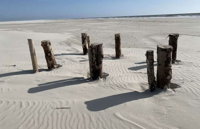 Langeness Modern Retreat - Foto 30