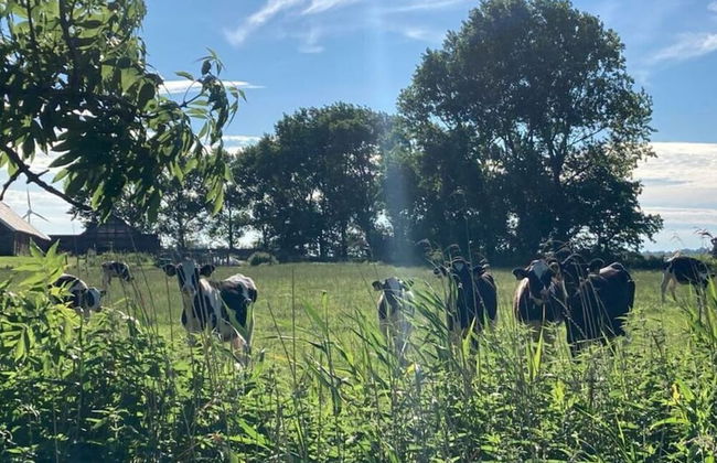 Holiday Apartment Nordnest - Foto 13