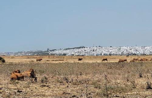 Casa Nordica cerca del mar - Foto 31