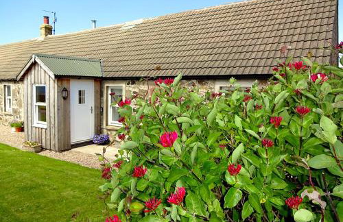 Charlies Cottage - Foto 10