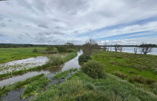 5 Person Holiday Home in Skanderborg-by Traum - Photo 37