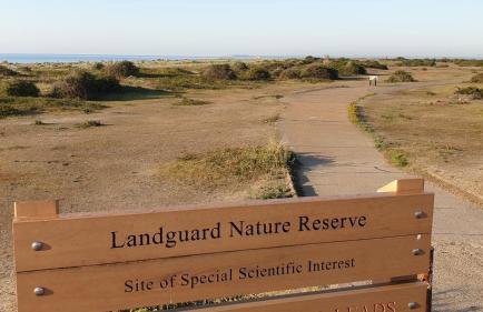 Martello Sunrise - Luxury 3-bedroom Seaview Beach House - Foto 18