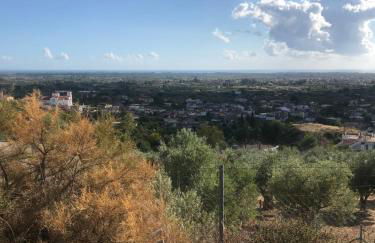 Mountain House near Pyrgos Ilias - Photo 35