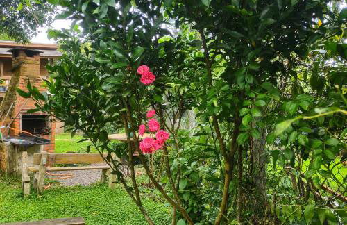 Alpes dos anjos Canela rs chalé luxo Wi-Fi SPLIT COZINHA perto do centro - Foto 31