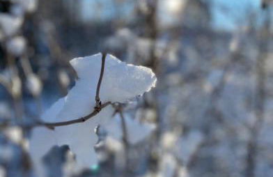 Ferienwohnung am Tor zum Thüringer Wald - Foto 16