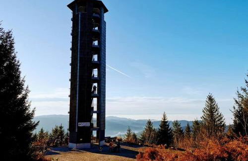 Traumhafte Maisonette-Wohnung im Schwarzwald - Foto 45