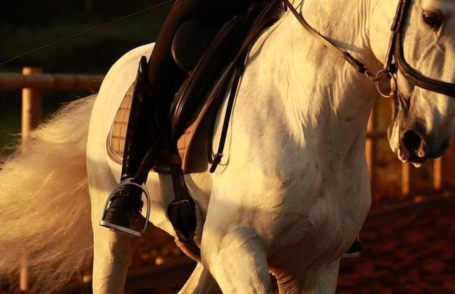 Lusitano Garden Villas - Foto 63