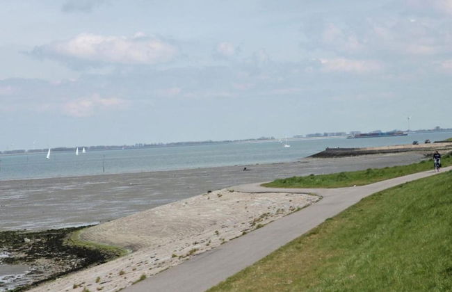 Modern Holiday Home in Kattendijke With a Garden - Foto 31