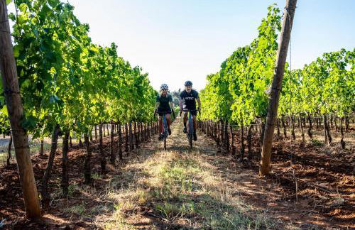 Antica Fattoria La Parrina - Foto 41