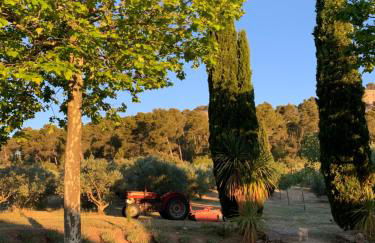 Le Domaine de l'Aiguille Alpilles, Eygalières, Saint Rémy de Provence - Foto 44